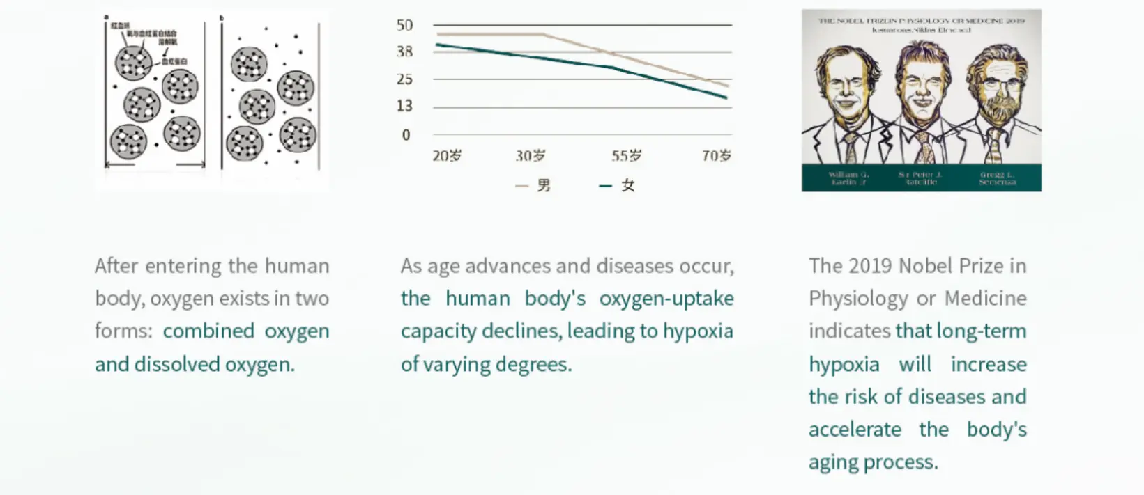 Oxygen The Element of Life